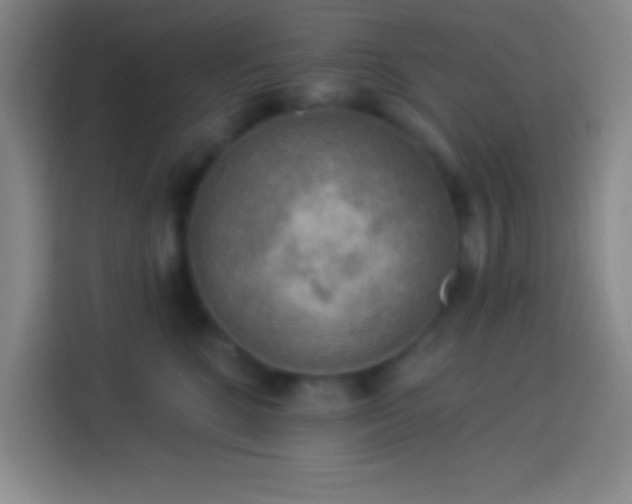 X0000113900520200910011345