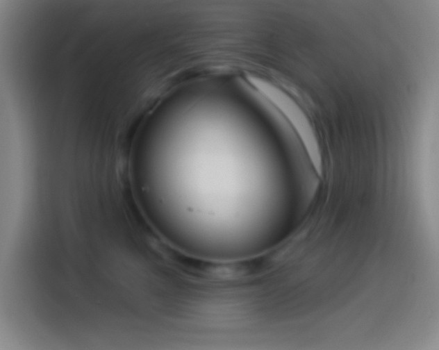 X0000113900521200910011345