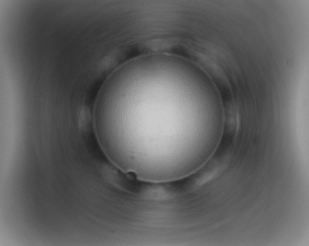 X0000113900523200910011345