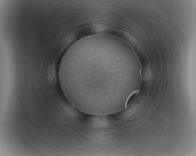 X0000113900524200910011345