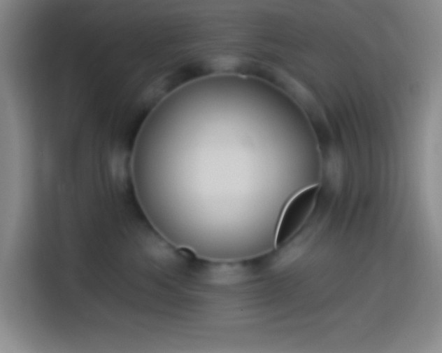 X0000113900525200910011345