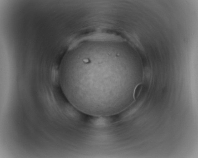 X0000113900527200910011345