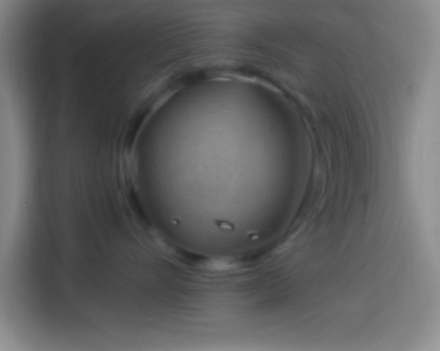 X0000113900528200910011345