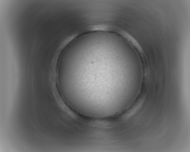 X0000113900529200910011344