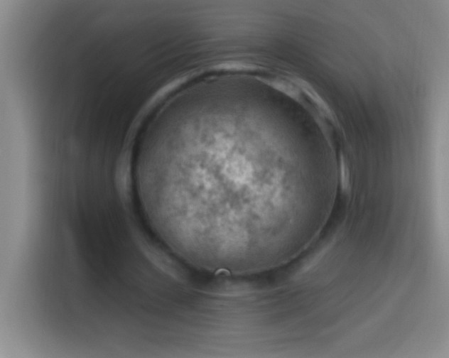 X0000113900531200910011344