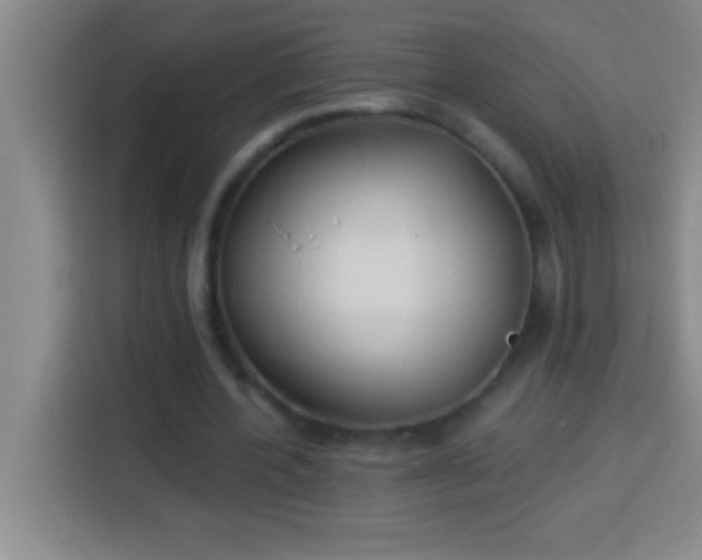 X0000113900532200910011344