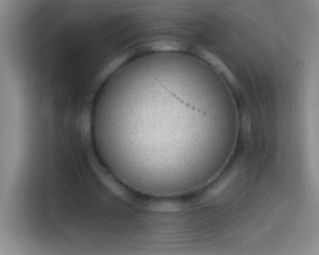 X0000113900533200910011344