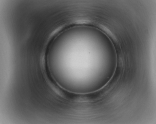 X0000113900535200910011344