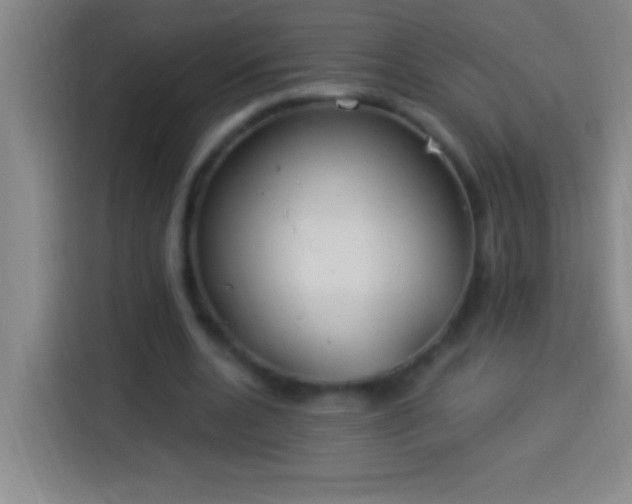 X0000113900536200910011344