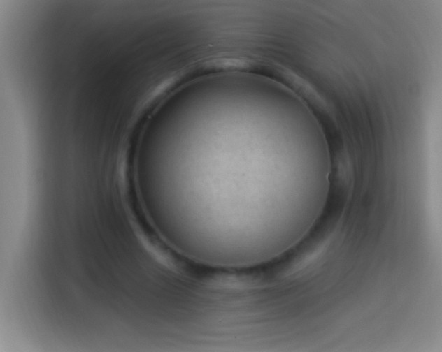 X0000113900538200910011345