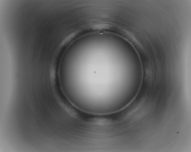 X0000113900539200910011345