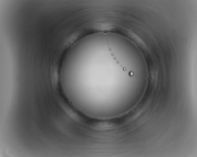 X0000113900541200910011345