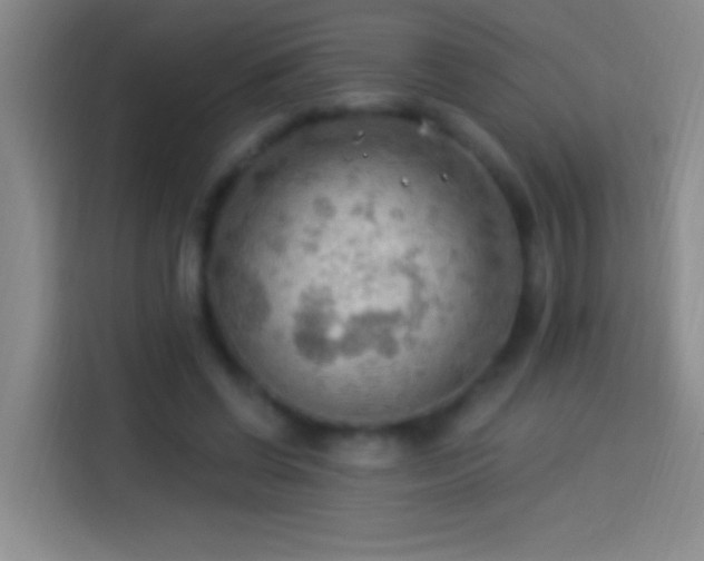 X0000113900542200910011345