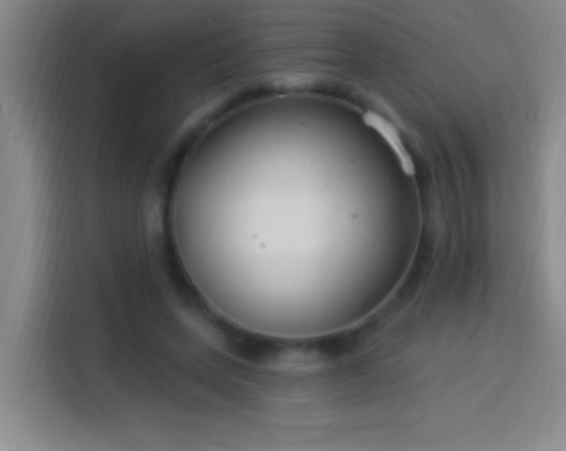 X0000113900543200910011345