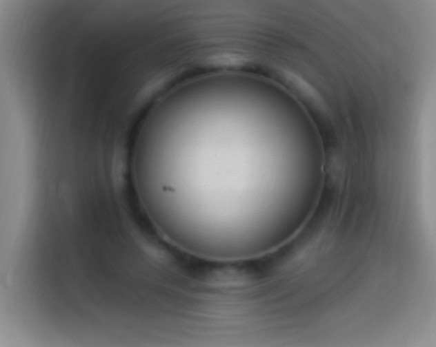 X0000113900544200910011345