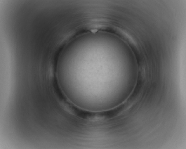 X0000113900546200910011345