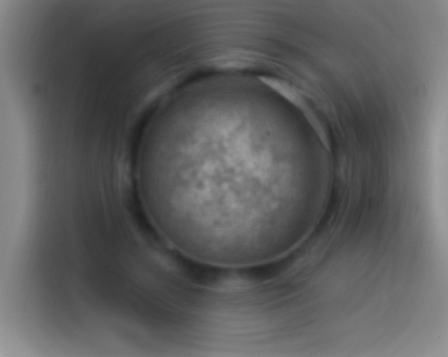 X0000113900547200910011345