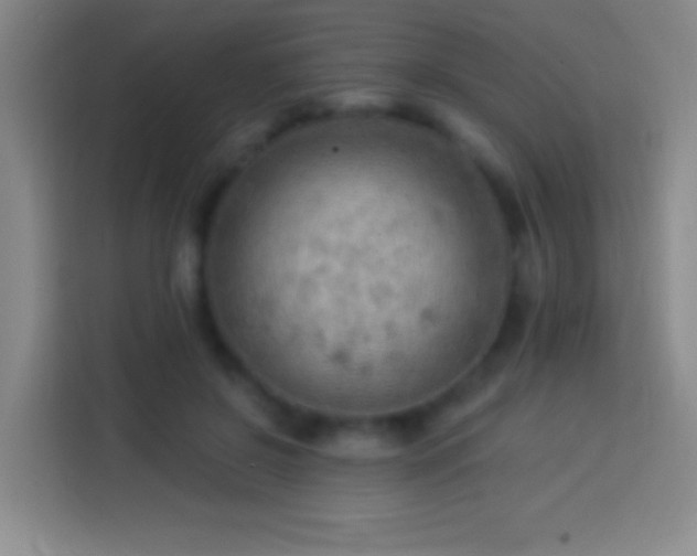 X0000113900550200910011345