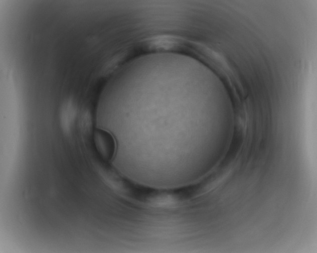 X0000113900551200910011345