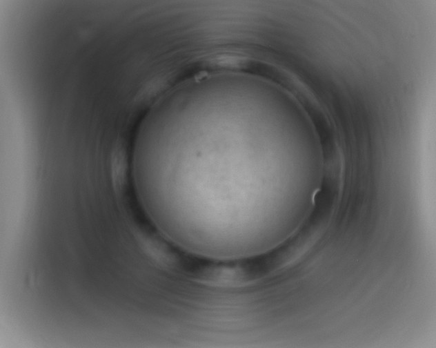 X0000113900552200910011345