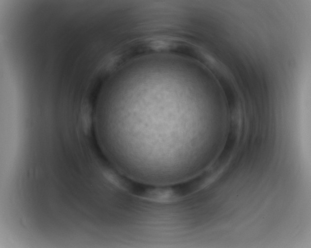 X0000113900554200910011345