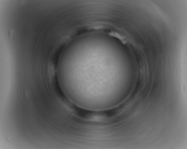 X0000113900555200910011345