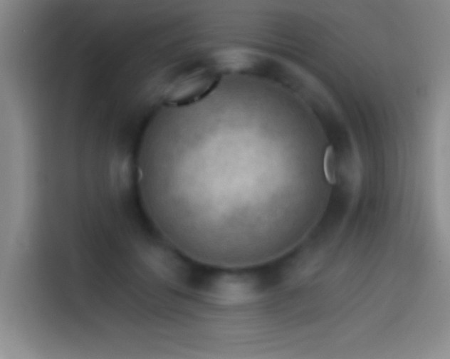 X0000113900556200910011345