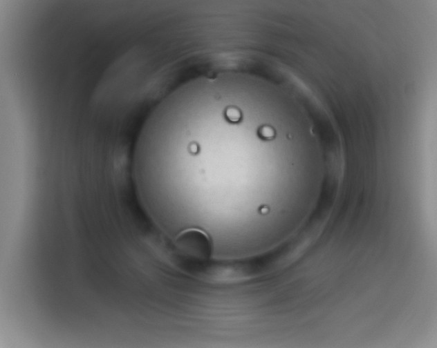 X0000113900557200910011345