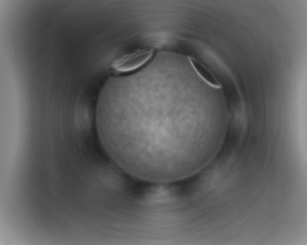 X0000113900558200910011345