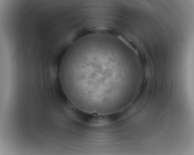 X0000113900559200910011345