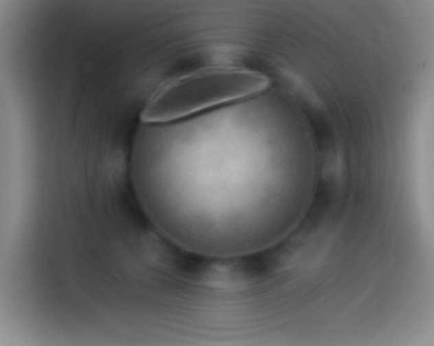 X0000113900560200910011345