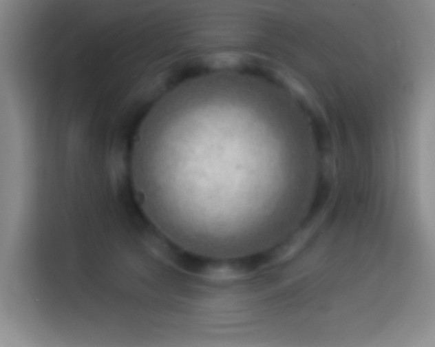 X0000113900561200910011345