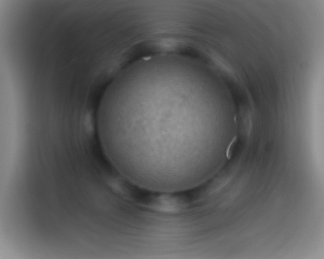 X0000113900562200910011345