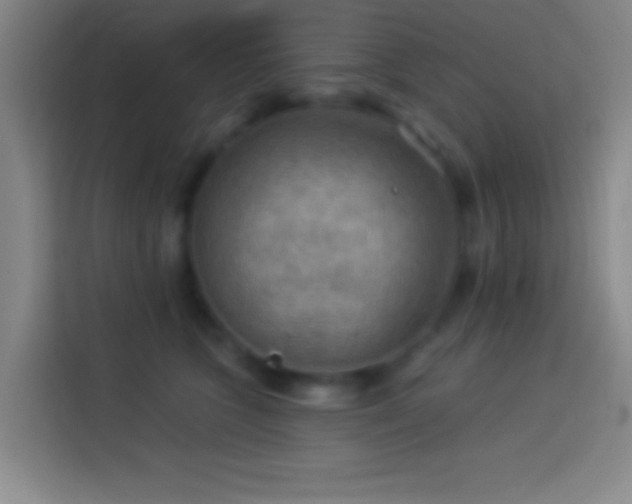 X0000113900563200910011345