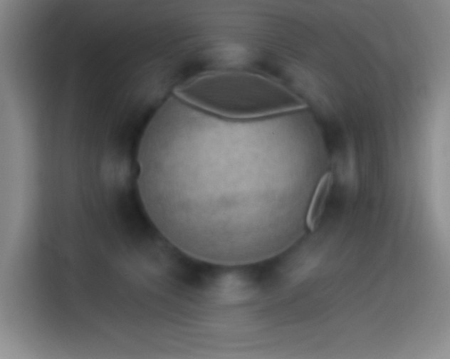 X0000113900564200910011345