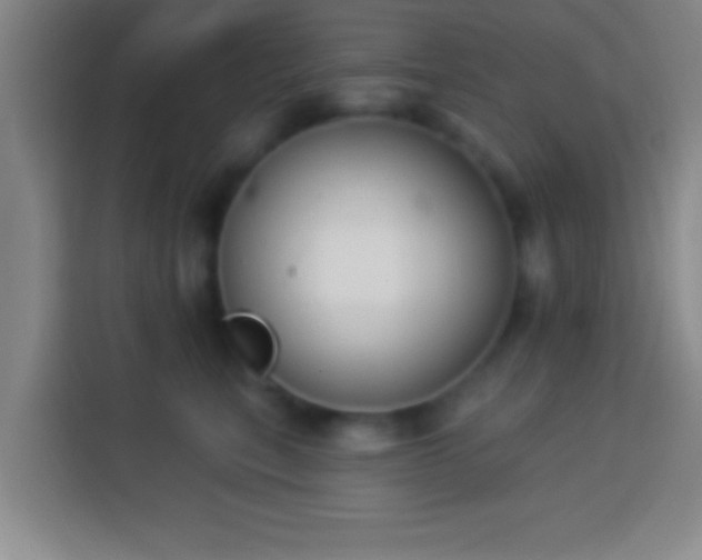 X0000113900567200910011345