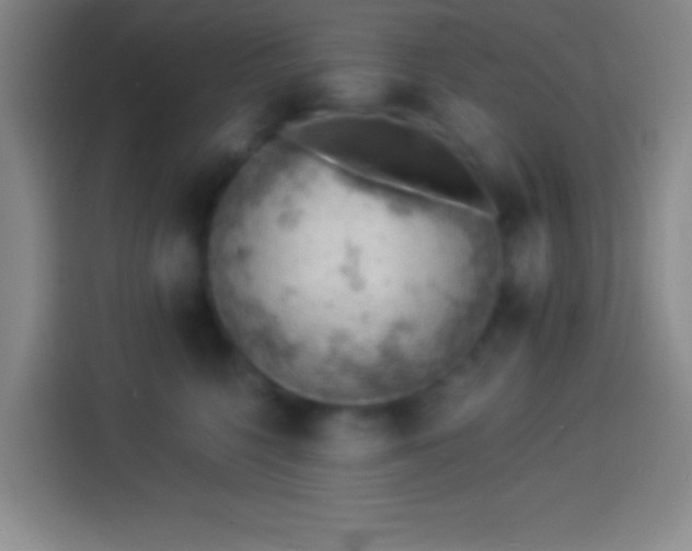 X0000113900568200910011345