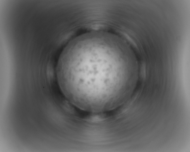 X0000113900569200910011345