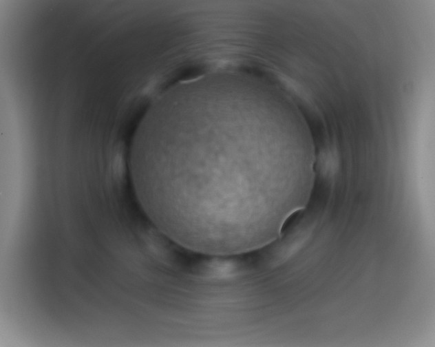 X0000113900570200910011345