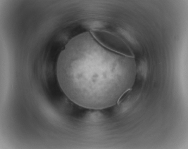 X0000113900572200910011345