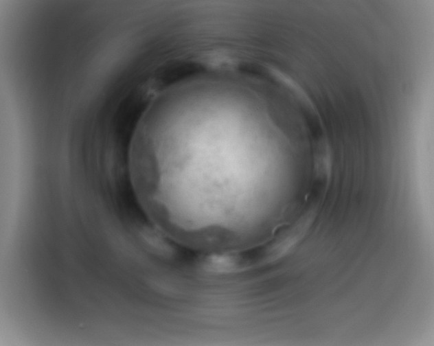 X0000113900573200910011345