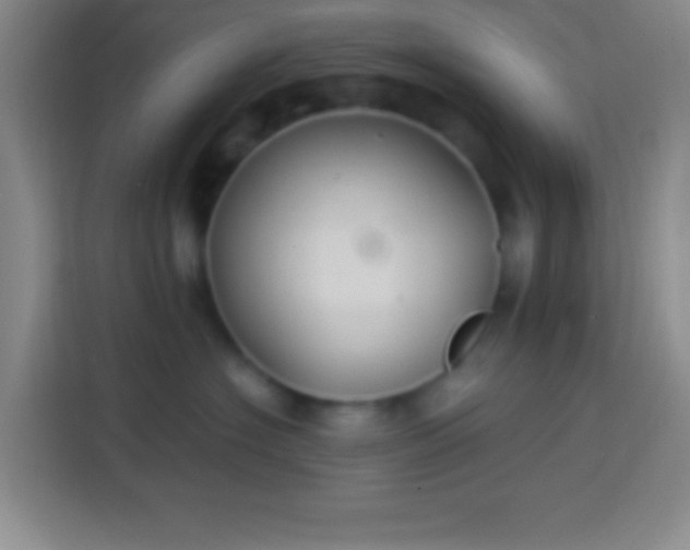 X0000113900574200910011345