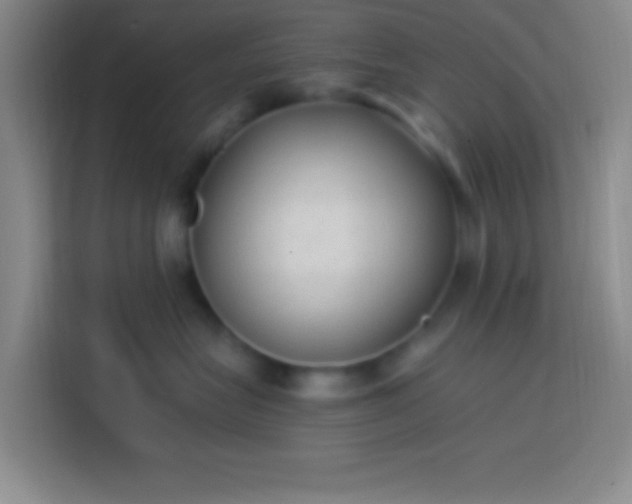 X0000113900575200910011345