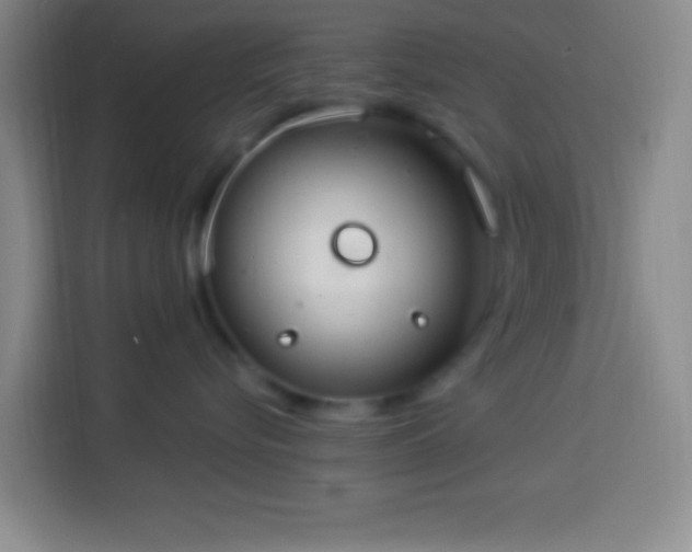 X0000113900576200910011345