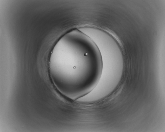 X0000113900577200910011344