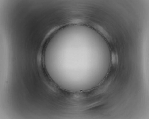 X0000113900579200910011344