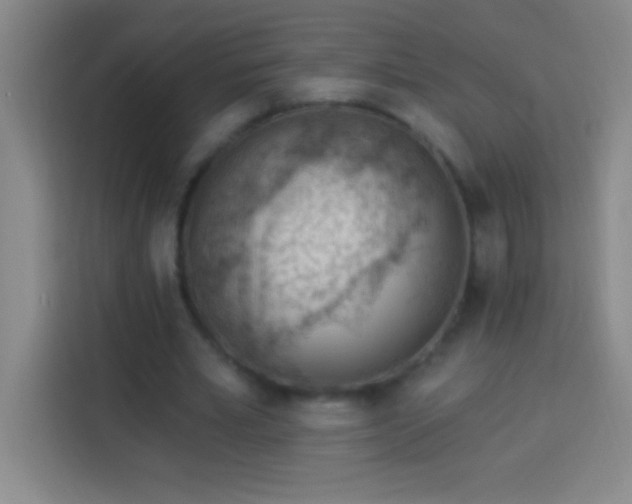 X0000113900581200910011344