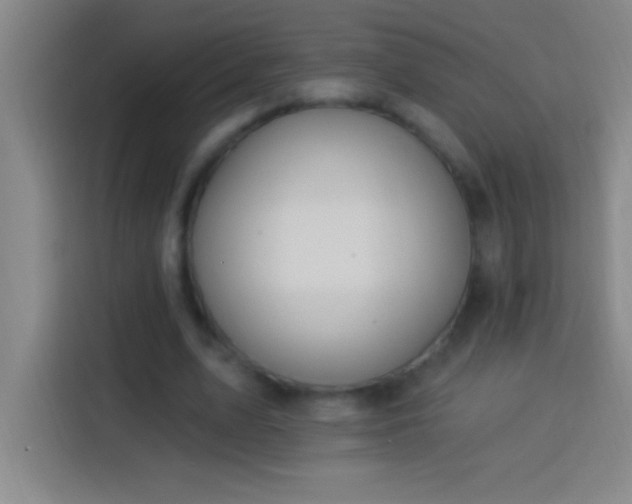 X0000113900583200910011344