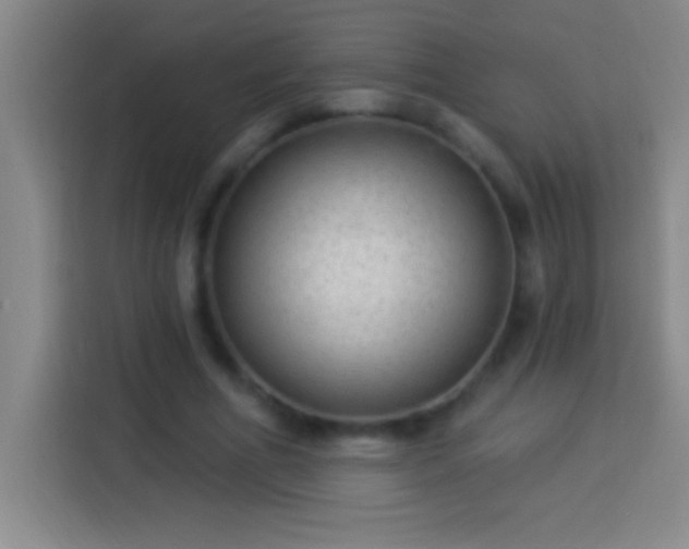 X0000113900586200910011344