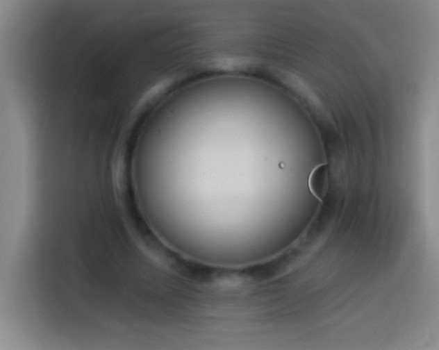 X0000113900587200910011344